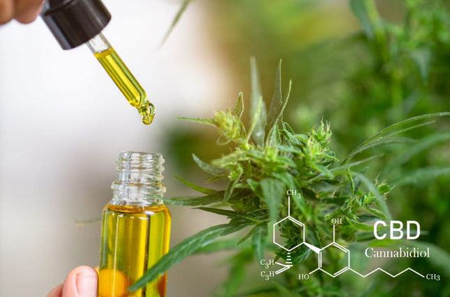 Things About The CBD Oil And Liquid