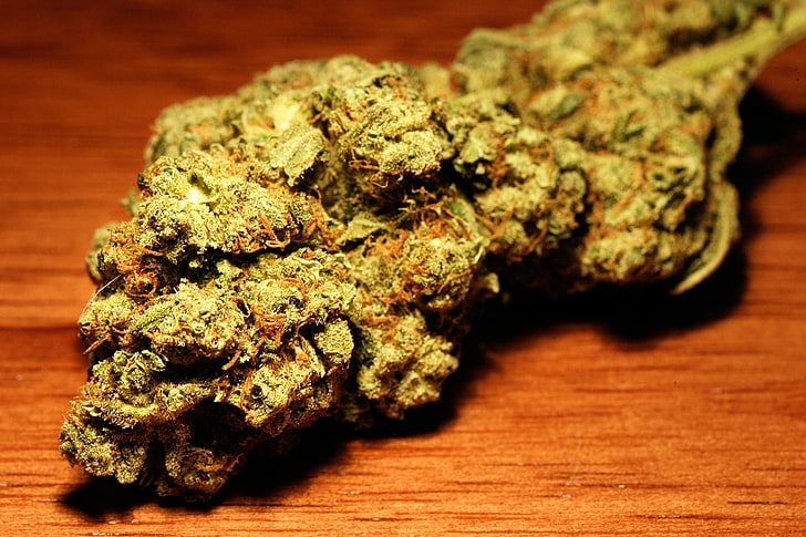 Acquire the best strains of legal Marijuana (Marijuana Legale)